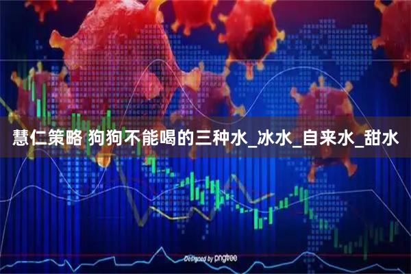 慧仁策略 狗狗不能喝的三种水_冰水_自来水_甜水