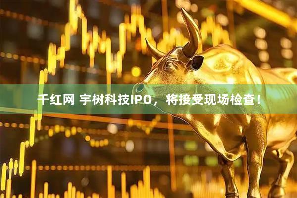 千红网 宇树科技IPO，将接受现场检查！
