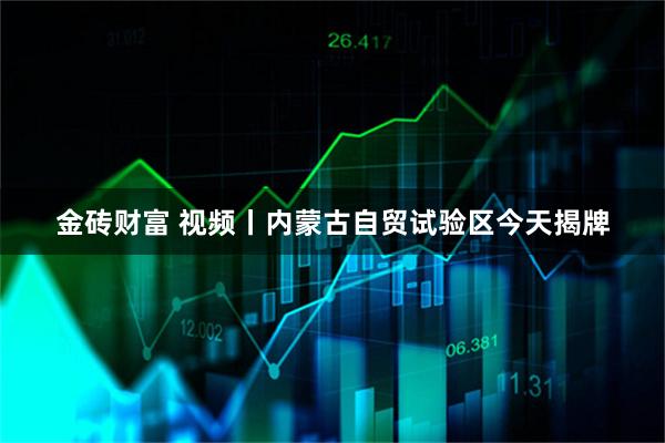 金砖财富 视频丨内蒙古自贸试验区今天揭牌